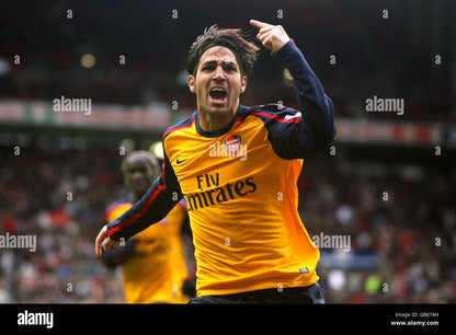 Arsenal 2008/09 Fabregas Away Jersey