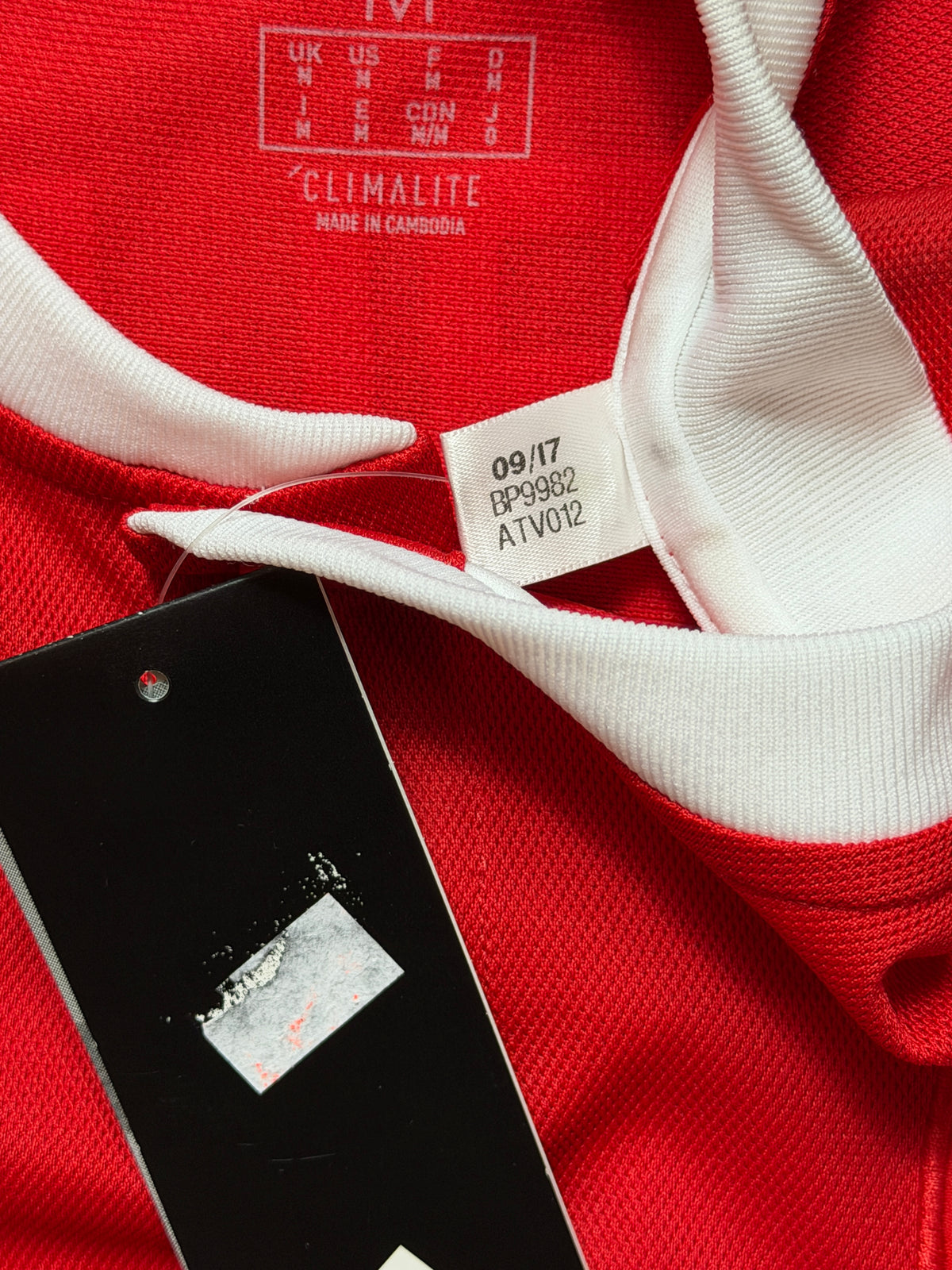 Wales 2018 Bale Home Jersey
