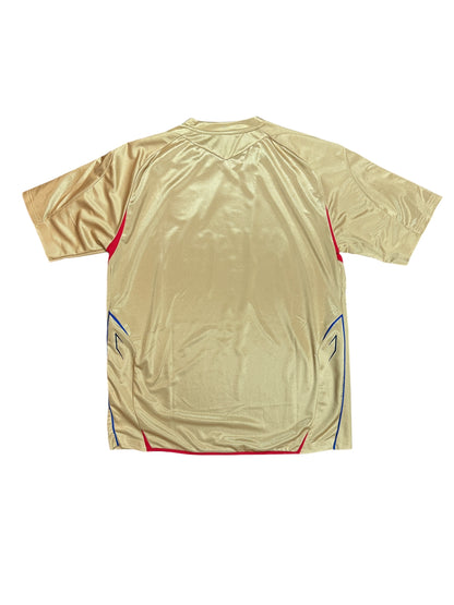 Lyon 2007/08 Away Jersey