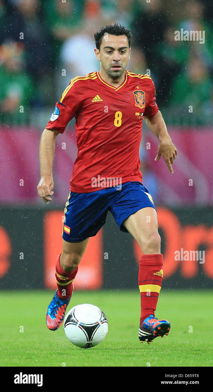 Spain 2012 Xavi Home Jersey
