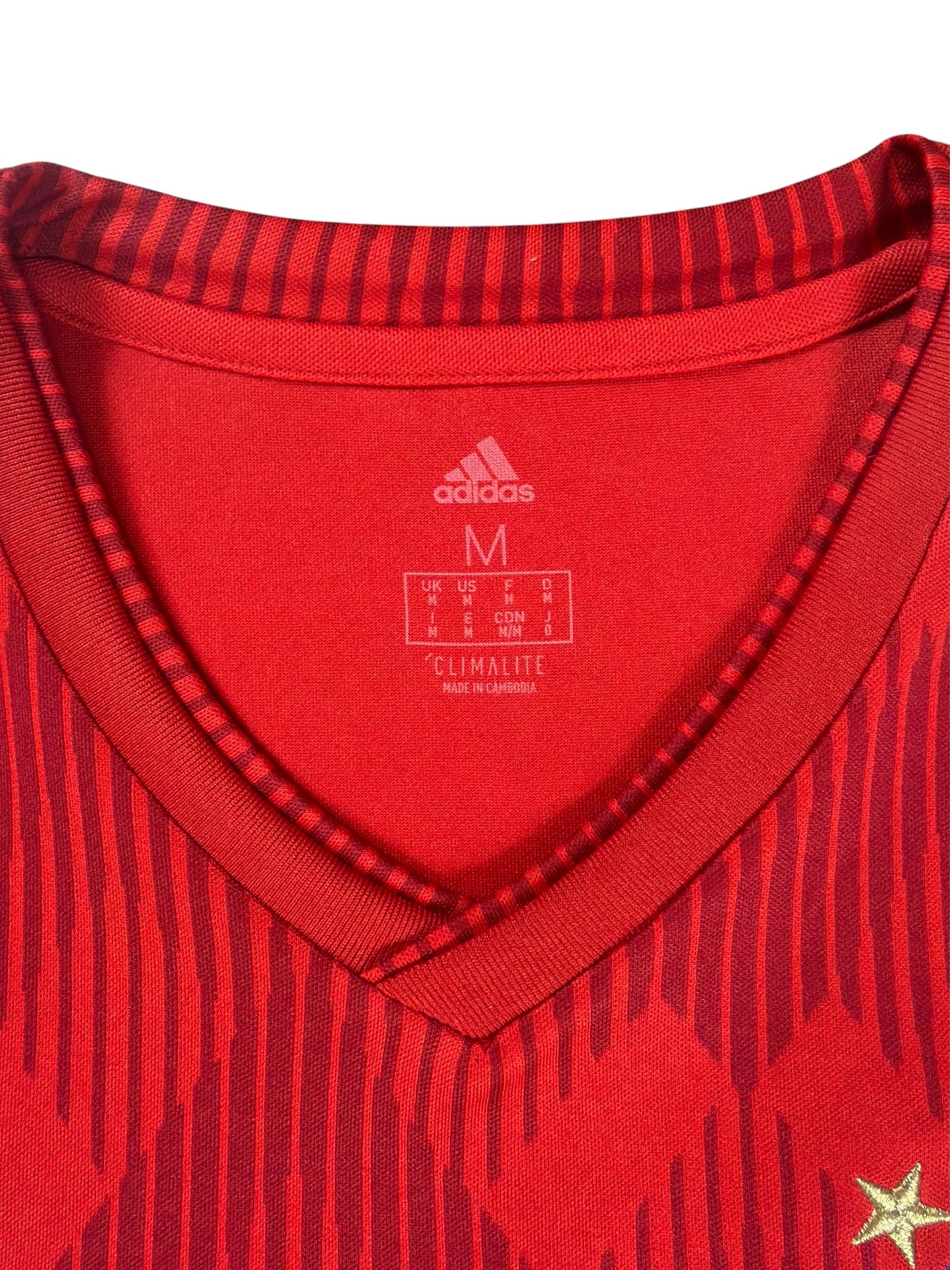 Bayern Munich 2018/19 Robben Home Jersey