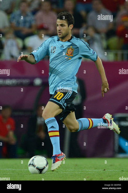 Spain 2012 Fabregas Away Jersey