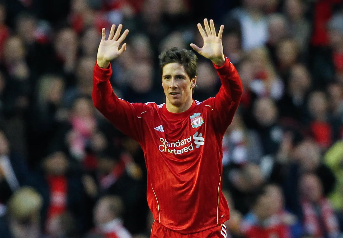 Liverpool 2010/11 Torres Home Jersey